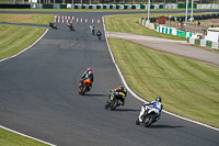 Lower Group White Bikes